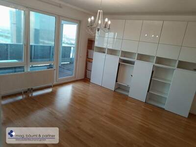 Terrassenwohnung mieten in 1220 Wien (Bild 3)
