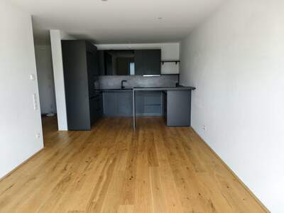 Terrassenwohnung mieten in 3100 St. Pölten (Bild 3)