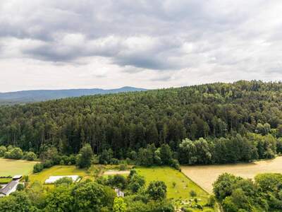 Gewerbeobjekt kaufen in 2802 Walpersbach