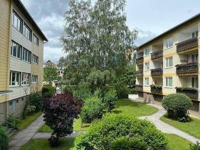 Wohnung provisionsfrei mieten in 2651 Reichenau