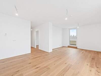 Terrassenwohnung kaufen in 2540 Bad Vöslau (Bild 5)