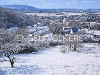 Grundstück kaufen in 2102 Bisamberg