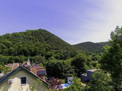 Haus kaufen in 2371 Hinterbrühl