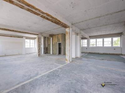 Gewerbeobjekt mieten in 1230 Wien