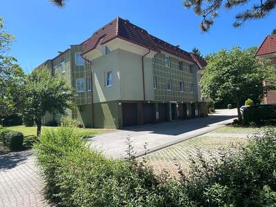 Terrassenwohnung mieten in 3270 Scheibbs (Bild 1)