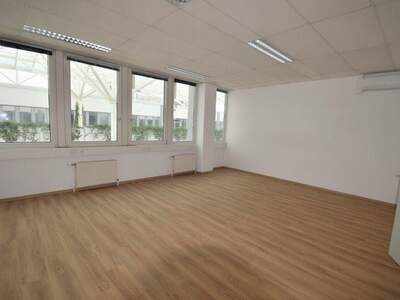 Gewerbeobjekt mieten in 4060 Leonding (Bild 3)