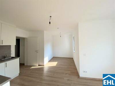 Terrassenwohnung mieten in 1100 Wien (Bild 4)