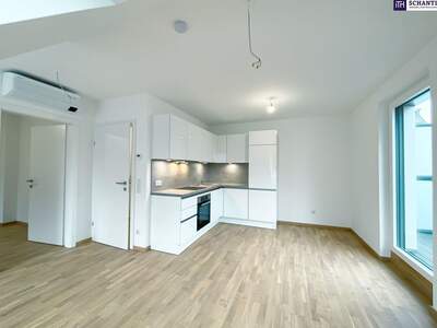 Apartment provisionsfrei mieten in 1220 Wien