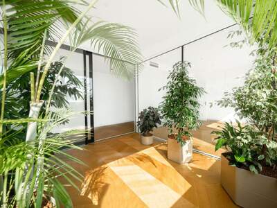 Wohnung kaufen in 1010 Wien (Bild 3)