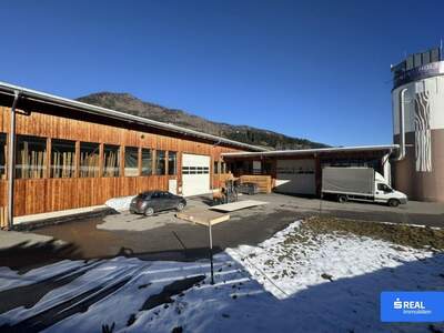 Gewerbeobjekt kaufen in 9912 Anras (Bild 1)