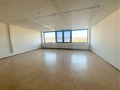 Büro / Praxis mieten in 2351 Wr. Neudorf (Bild 1)