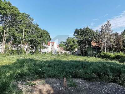 Grundstück kaufen in 2522 Oberwaltersdorf (Bild 4)