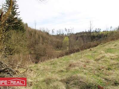 Grundstück kaufen in 4232 Hagenberg