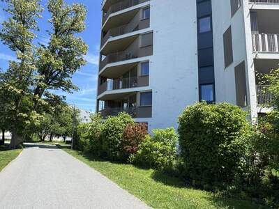 Wohnung mieten in 5020 Salzburg