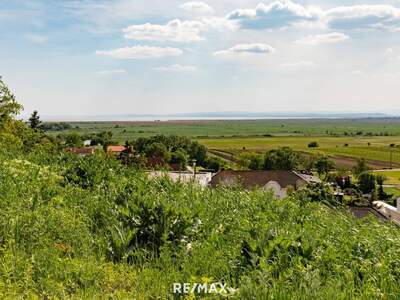 Grundstück kaufen in 7100 Neusiedl