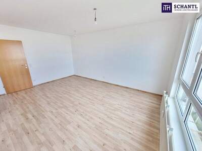 Wohnung kaufen in 1100 Wien (Bild 1)