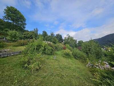 Grundstück kaufen in 4085 Waldkirchen