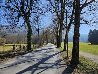 Haus mit Garten mieten in 5026 Salzburg (Bild 3)
