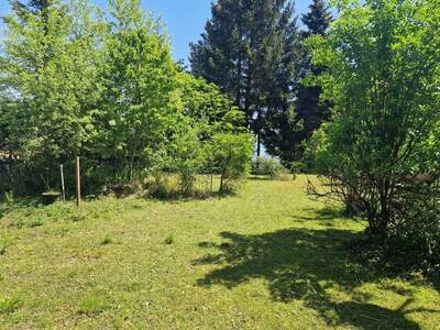 Haus mit Garten kaufen in 2724 Maiersdorf (Bild 5)