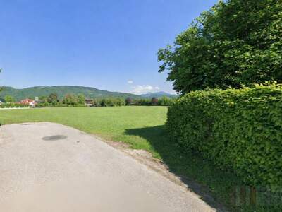 Grundstück kaufen in 5081 Anif