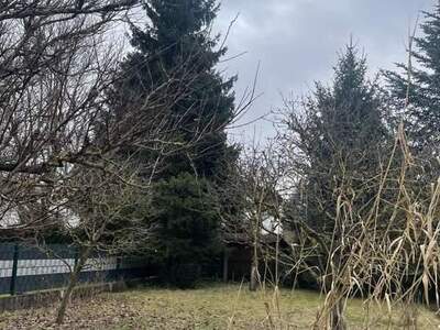 Haus kaufen in 4061 Pasching