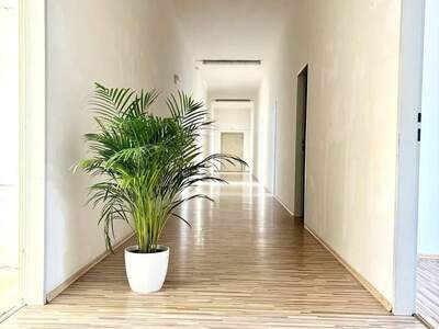 Gewerbeobjekt mieten in 3300 Amstetten