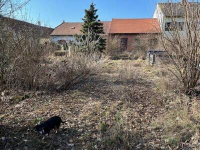 Haus kaufen in 3714 Sitzendorf (Bild 1)