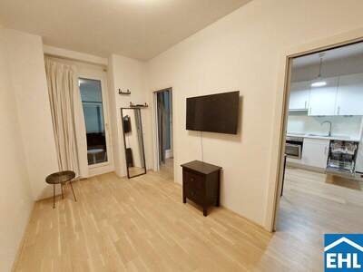 Terrassenwohnung mieten in 1090 Wien (Bild 3)