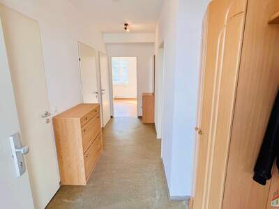 Terrassenwohnung kaufen in 3430 Tulln (Bild 5)