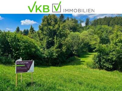 Grundstück kaufen in 4201 Eidenberg