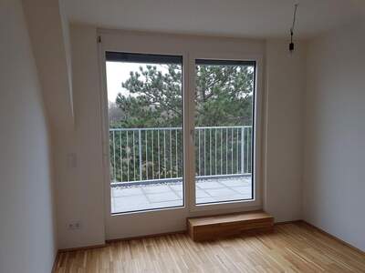 Terrassenwohnung mieten in 1220 Wien (Bild 2)