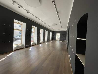 Gewerbeobjekt mieten in 1050 Wien