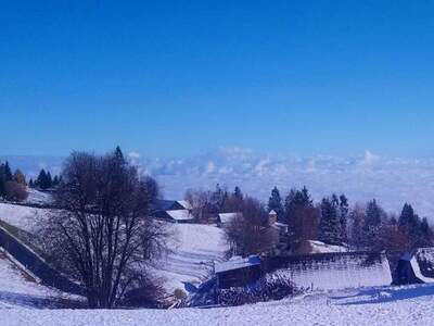 Ferienhaus provisionsfrei kaufen in 8530 Deutschlandsberg
