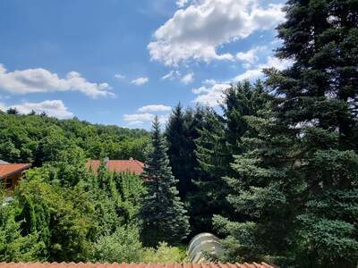 Einfamilienhaus kaufen in 3021 Pressbaum (Bild 2)