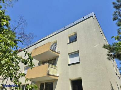 Wohnung mieten in 1130 Wien