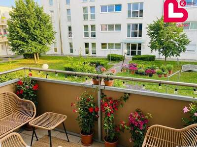 Housing Association provisionsfrei mieten in 4210 Oberösterreich