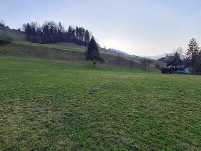 Grundstück kaufen in 4463 Großraming