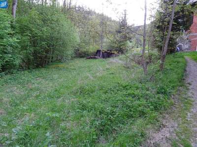 Grundstück kaufen in 4121 Altenfelden (Bild 1)