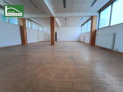 Büro / Praxis mieten in 3500 Krems (Bild 4)