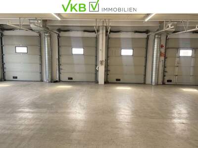 Gewerbeobjekt kaufen in 4052 Ansfelden (Bild 5)