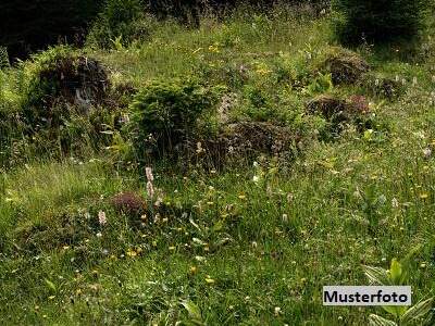 Grundstück kaufen in 8621 Thörl (Bild 1)