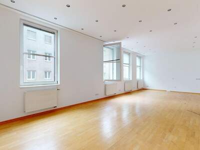 Gewerbeobjekt mieten in 1100 Wien (Bild 3)