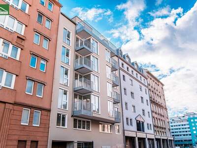 Anlageobjekt kaufen in 1100 Wien