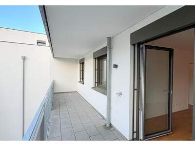 Wohnung mieten in 2000 Stockerau