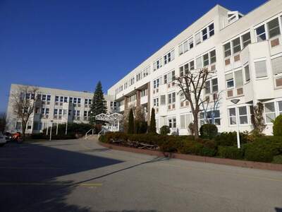 Gewerbeobjekt mieten in 1230 Wien