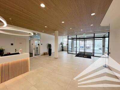 Gewerbeobjekt mieten in 4490 St. Florian