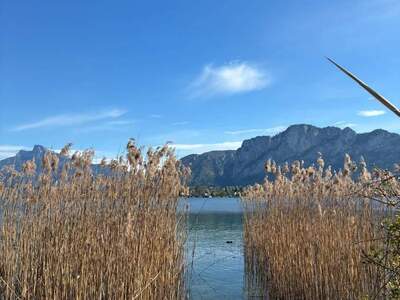 Grundstück provisionsfrei mieten in 5310 Mondsee