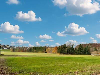 Grundstück kaufen in 4694 Ohlsdorf (Bild 1)