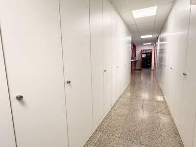 Gewerbeobjekt mieten in 2320 Schwechat (Bild 5)