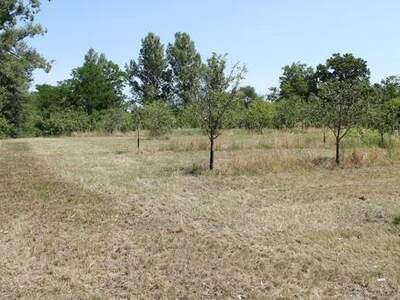 Grundstück kaufen in 2011 Sierndorf